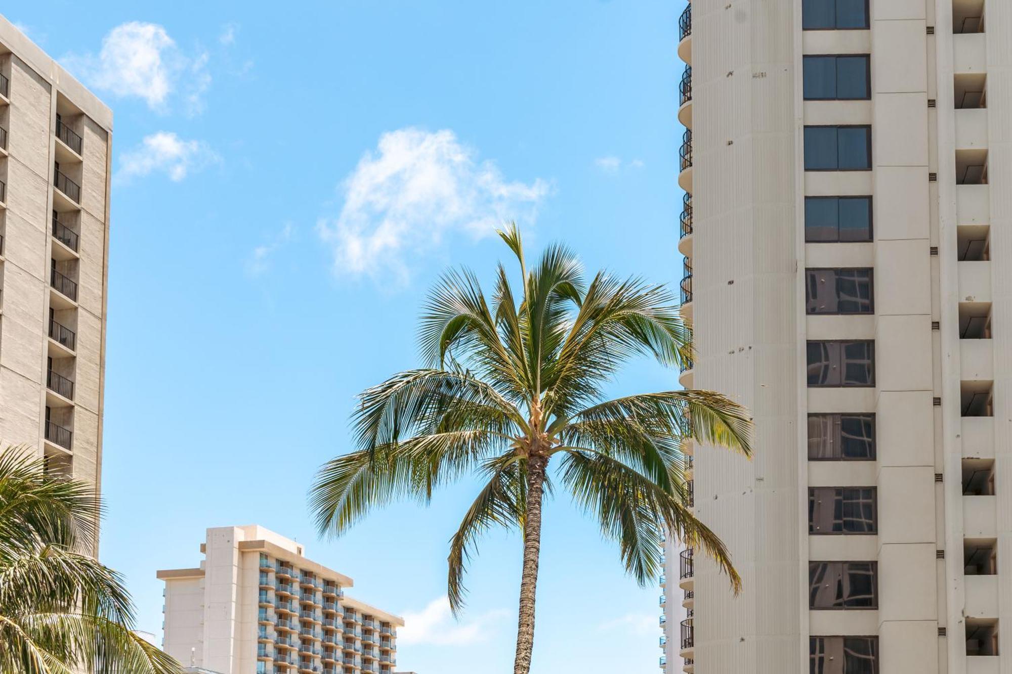 Mountain View Near With Free Parking! Apartamento Honolulu